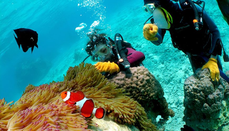 The Top 5 Snorkeling Spots in Malaysia