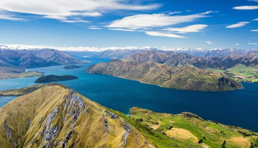Interest in NzeTA